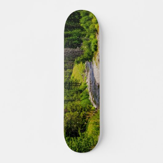 Skateboard van de Noordvork (Voorkant)