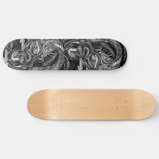 Skateboard van drakenkoppen (Horizontaal)