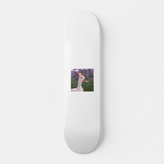 Skateboard van ganzen haard, 7 ¾" (Voorkant)