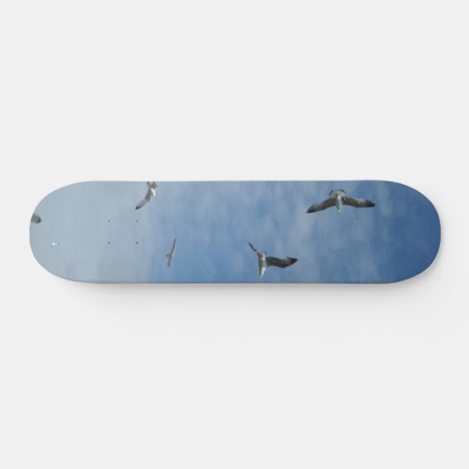 Skateboard van het vliegende zeegarnaal (Horizontaal)