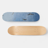 Skateboard van het vliegende zeegarnaal (Horizontaal)