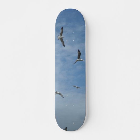 Skateboard van het vliegende zeegarnaal (Voorkant)