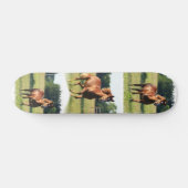 Skateboard van kastanjepaarden (Horizontaal)