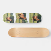 Skateboard van kastanjepaarden (Horizontaal)