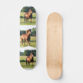Skateboard van kastanjepaarden (Voorkant)