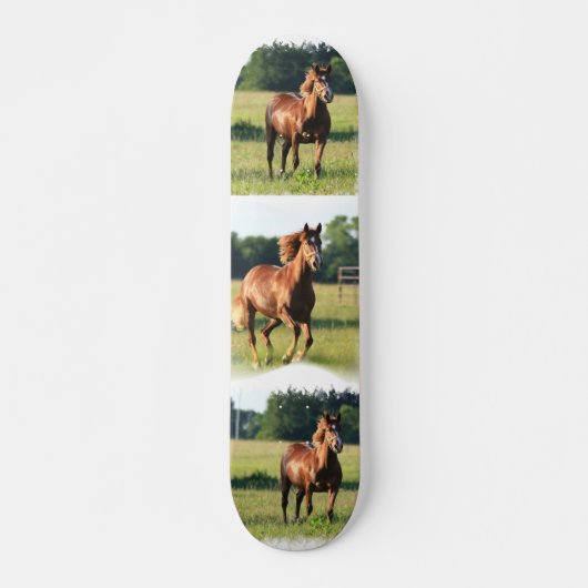 Skateboard van kastanjepaarden (Voorkant)