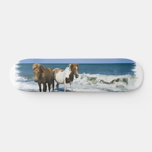 Skateboard van paardenstrand (Horizontaal)