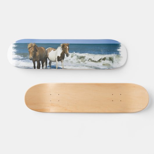 Skateboard van paardenstrand (Horizontaal)
