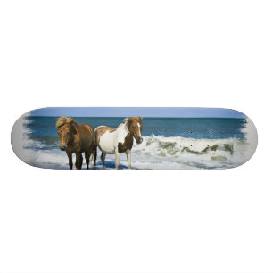 Skateboard van paardenstrand