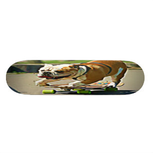 Skateboard van Skater Dog