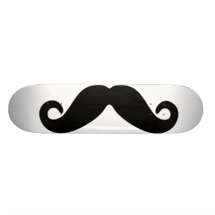 skateboard van snor