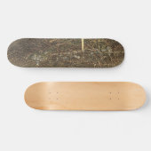 Skateboard van Washington DC 1892 (Horizontaal)