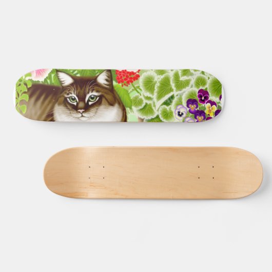 Skateboard van wolkskat (Horizontaal)