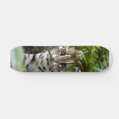 Skateboard voor benzinemotor 022 (Horizontaal)