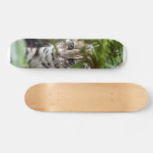 Skateboard voor benzinemotor 022 (Horizontaal)