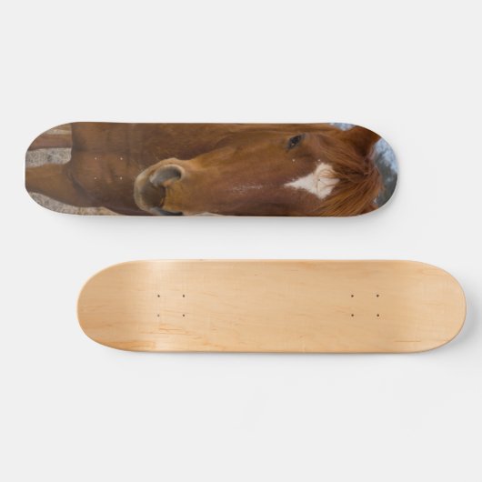 Skateboard voor paardenpootwerk (Horizontaal)