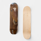 Skateboard voor paardenpootwerk (Voorkant)