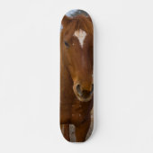 Skateboard voor paardenpootwerk (Voorkant)