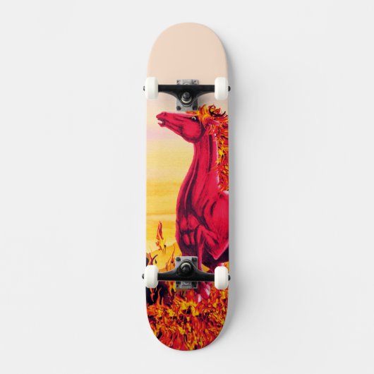 Skateboard voor wilde paarden (Voorkant)