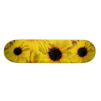 skateboard voor zonnebloemen