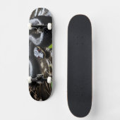 Skateboard with black anaconda (Voorkant)