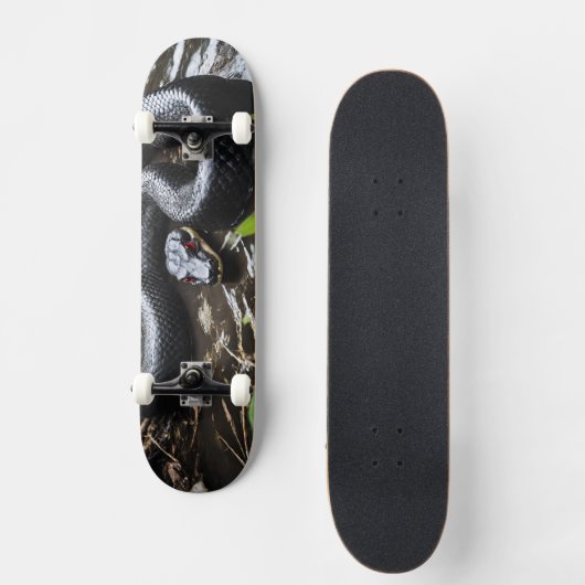 Skateboard with black anaconda (Voorkant)