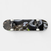 Skateboard with black anaconda (Horizontaal)
