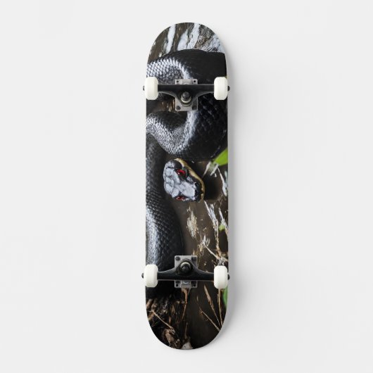 Skateboard with black anaconda (Voorkant)