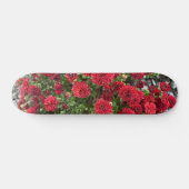 skateboarddek persoonlijk skateboard (Horizontaal)