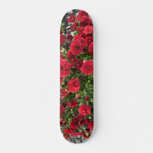 skateboarddek persoonlijk skateboard
