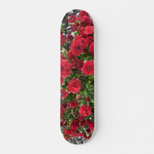 skateboarddek persoonlijk skateboard (Voorkant)