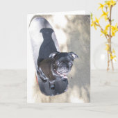 Skateboarden Pug Kaart (foto) (Gele Bloem)