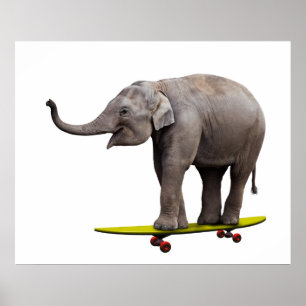 Skateboardende olifant poster