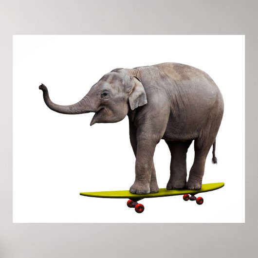 Skateboardende olifant poster (Voorkant)