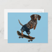 Skateboarding Dachshund Briefkaart (Voorkant / Achterkant)