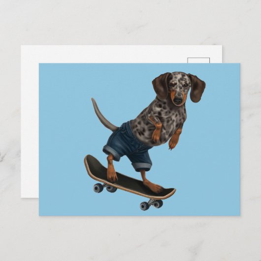 Skateboarding Dachshund Briefkaart (Voorkant / Achterkant)