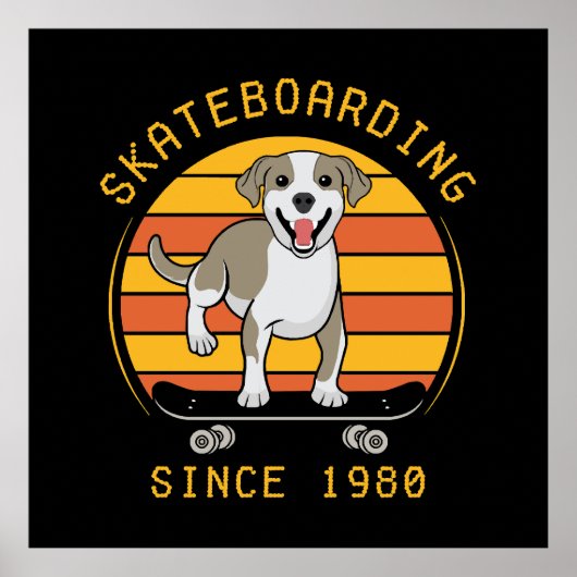 Skaten sinds 1980 poster (Voorkant)
