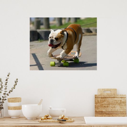 Skater Dog Poster (Keuken)