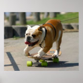 Skater Dog Poster (Voorkant)