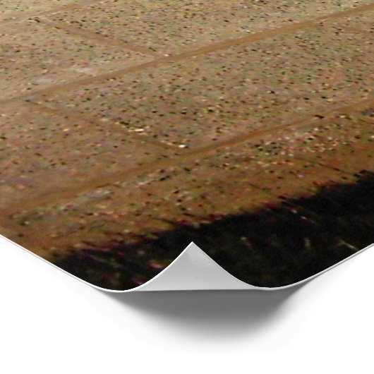 Skater Heaven Poster (Hoek)