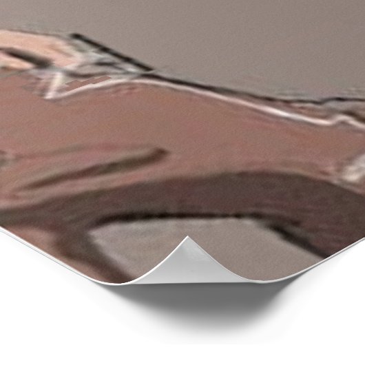 Skaters in het Poster Street (Hoek)