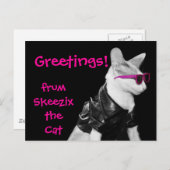 Skeezix the Cat Postcard Briefkaart (Voorkant / Achterkant)