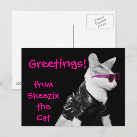 Skeezix the Cat Postcard Briefkaart (Voorkant / Achterkant)