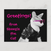 Skeezix the Cat Postcard Briefkaart (Voorkant)