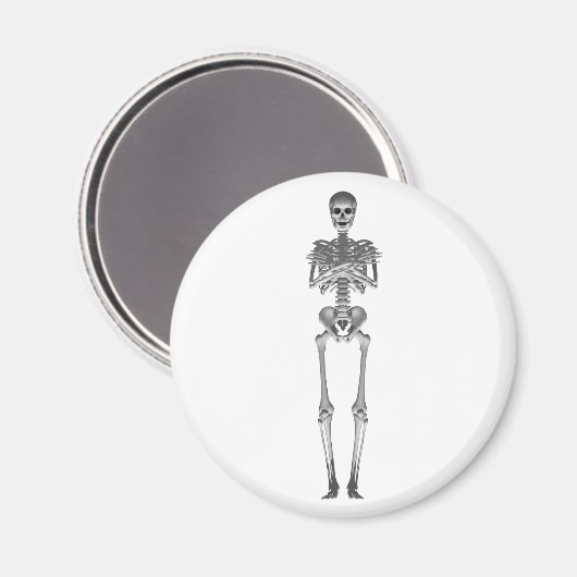 Skelet 3d Model: Magneet (Voorkant / Achterkant)