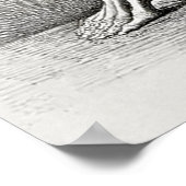  skelet anatomie Poster (Hoek)