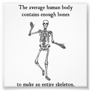 Skelet Botten in het gemiddelde menselijk lichaam Foto Afdruk