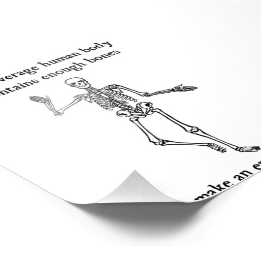 Skelet Botten in het gemiddelde menselijk lichaam Foto Afdruk (Hoek)