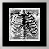  Skelet Botten Torso Body Halloween Poster (Voorkant)