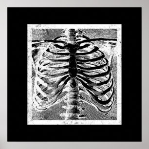 Skelet Botten Torso Body Halloween Poster